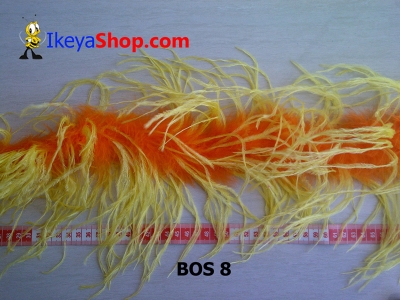 BOS 8  large2